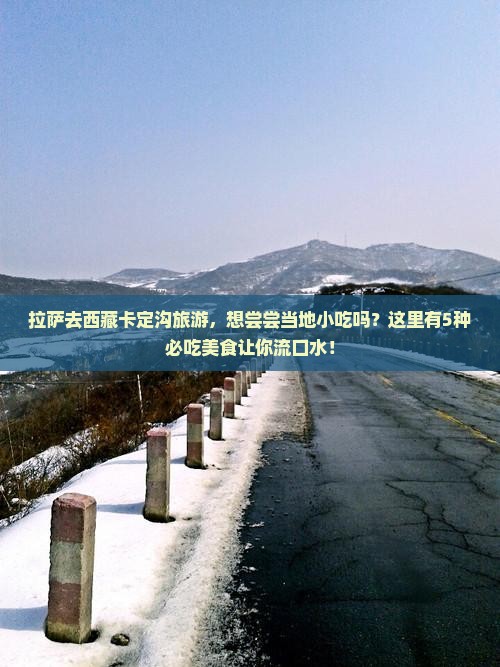 拉萨去西藏卡定沟旅游小吃