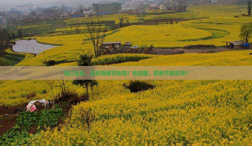 通辽市去西藏巴松措自由团