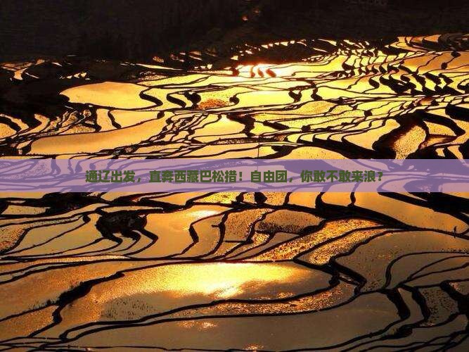 通辽市去西藏巴松措自由团