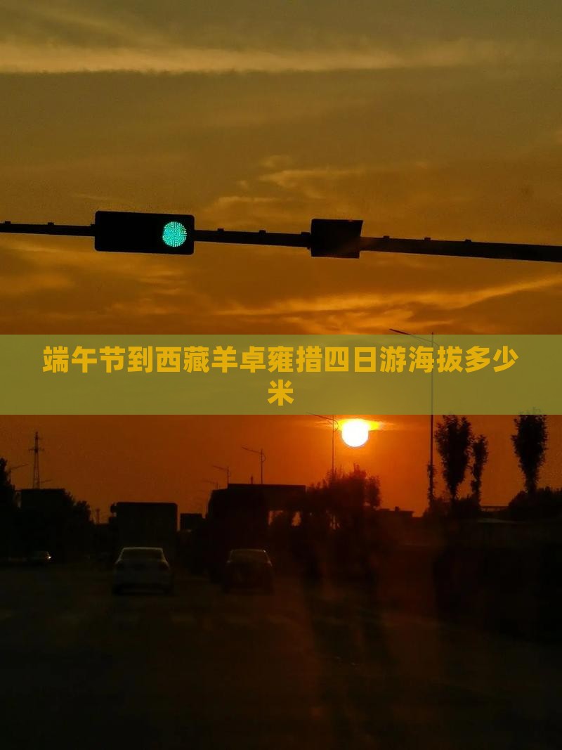 端午节到西藏羊卓雍措四日游