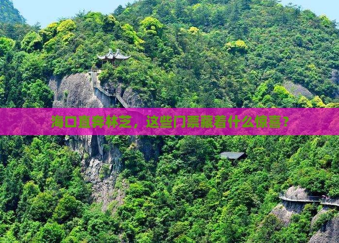 海口去西藏林芝门票