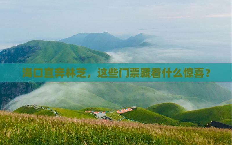 海口去西藏林芝门票