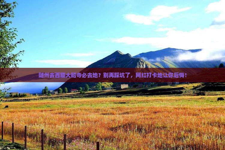 随州去西藏大昭寺必去地