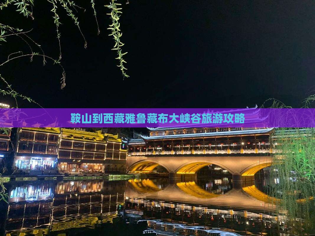 鞍山到西藏雅鲁藏布大峡谷个人游