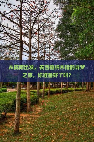 陇南去西藏纳木措大型旅游团