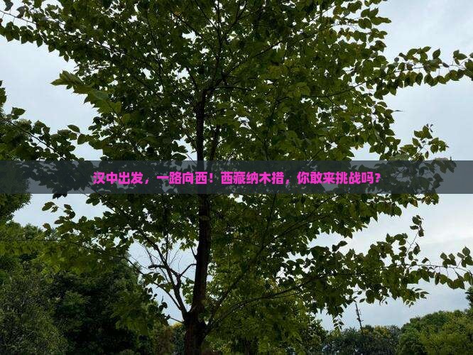 汉中到西藏纳木措哪里玩