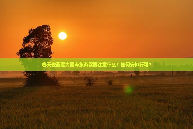 春天到西藏大昭寺攻略