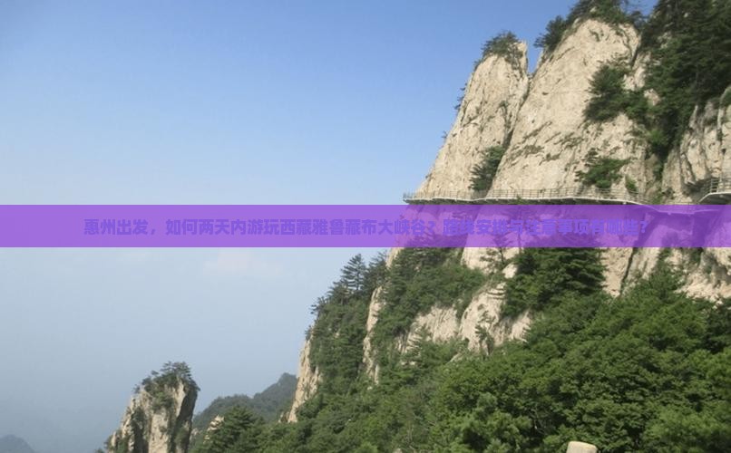 惠州去西藏雅鲁藏布大峡谷二日游
