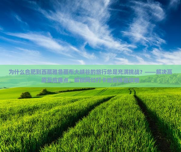 合肥到西藏雅鲁藏布大峡谷攻略