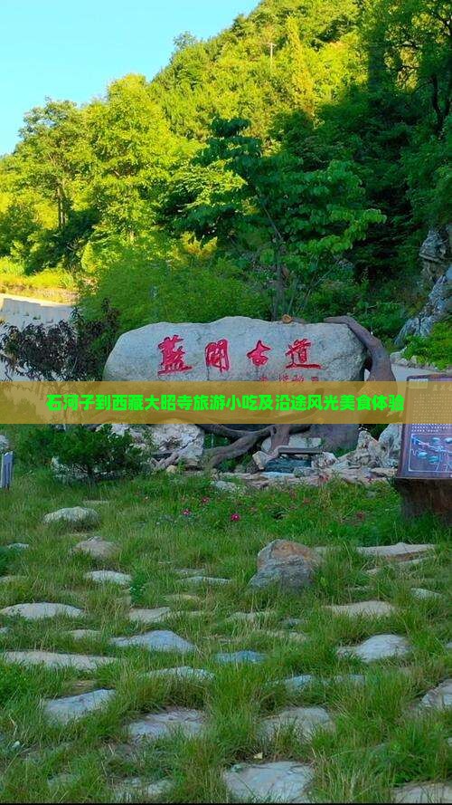 石河子到西藏大昭寺旅游小吃