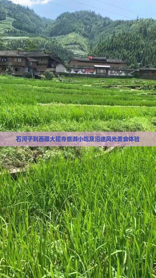石河子到西藏大昭寺旅游小吃
