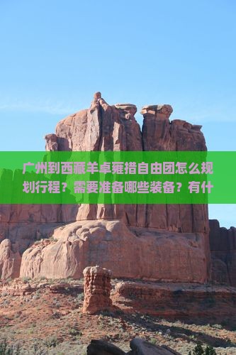 广州到西藏羊卓雍措自由团