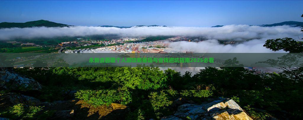 永新去西藏个人游