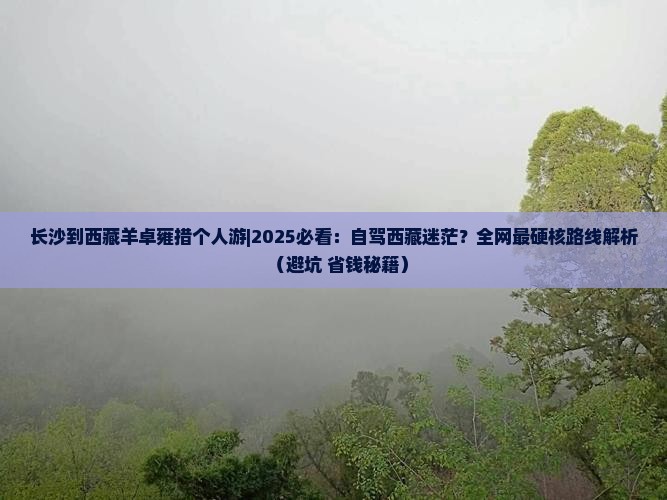 长沙到西藏羊卓雍措个人游