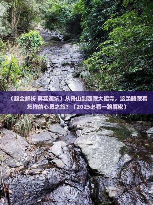 舟山到西藏大昭寺旅游