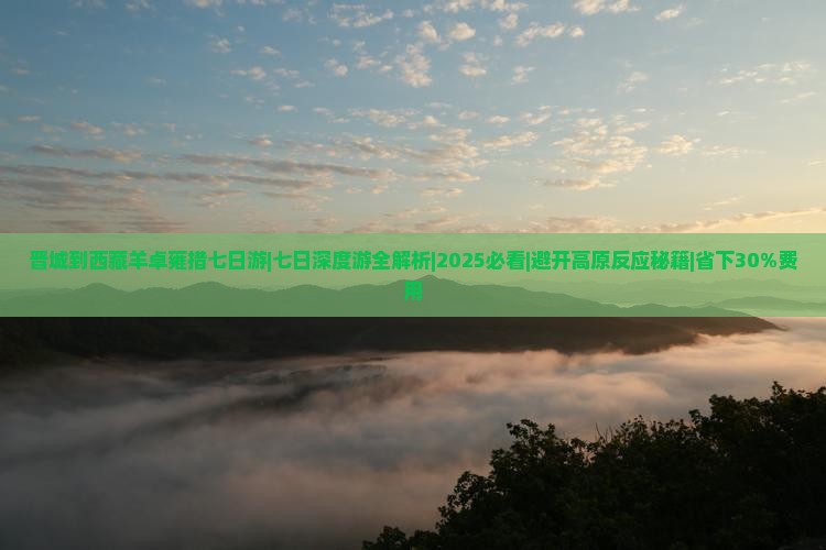 晋城到西藏羊卓雍措七日游