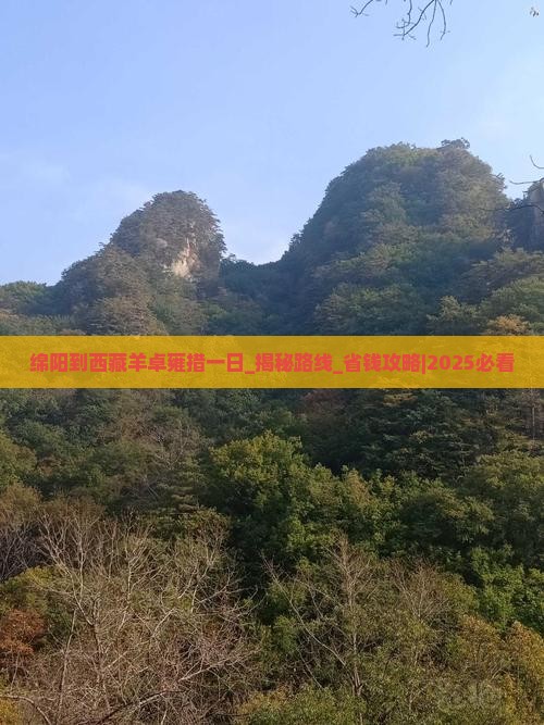 绵阳到西藏羊卓雍措一日
