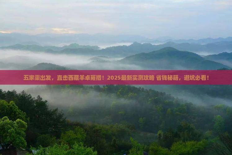 五家渠到西藏羊卓雍措旅游