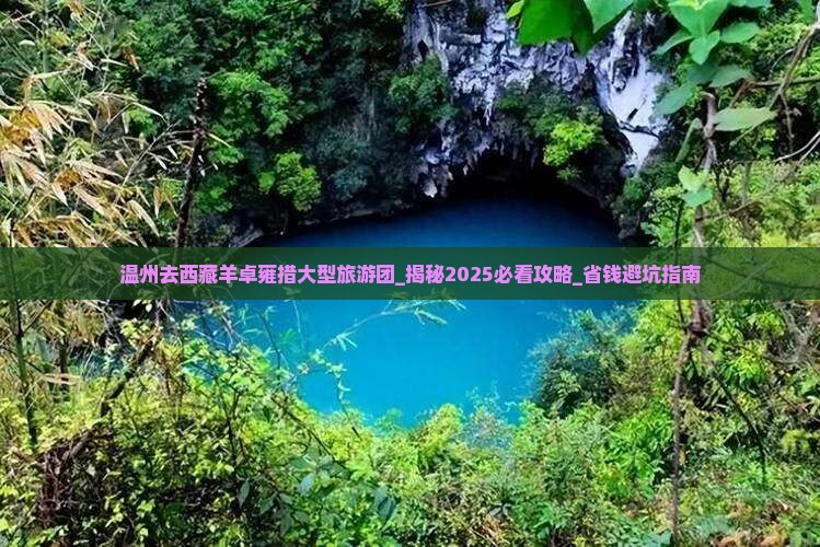 温州去西藏羊卓雍措大型旅游团
