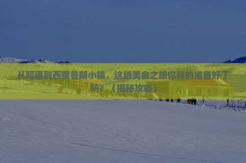 昭通到西藏鲁朗小镇旅游小吃