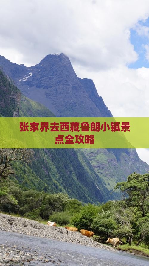 张家界去西藏鲁朗小镇景点