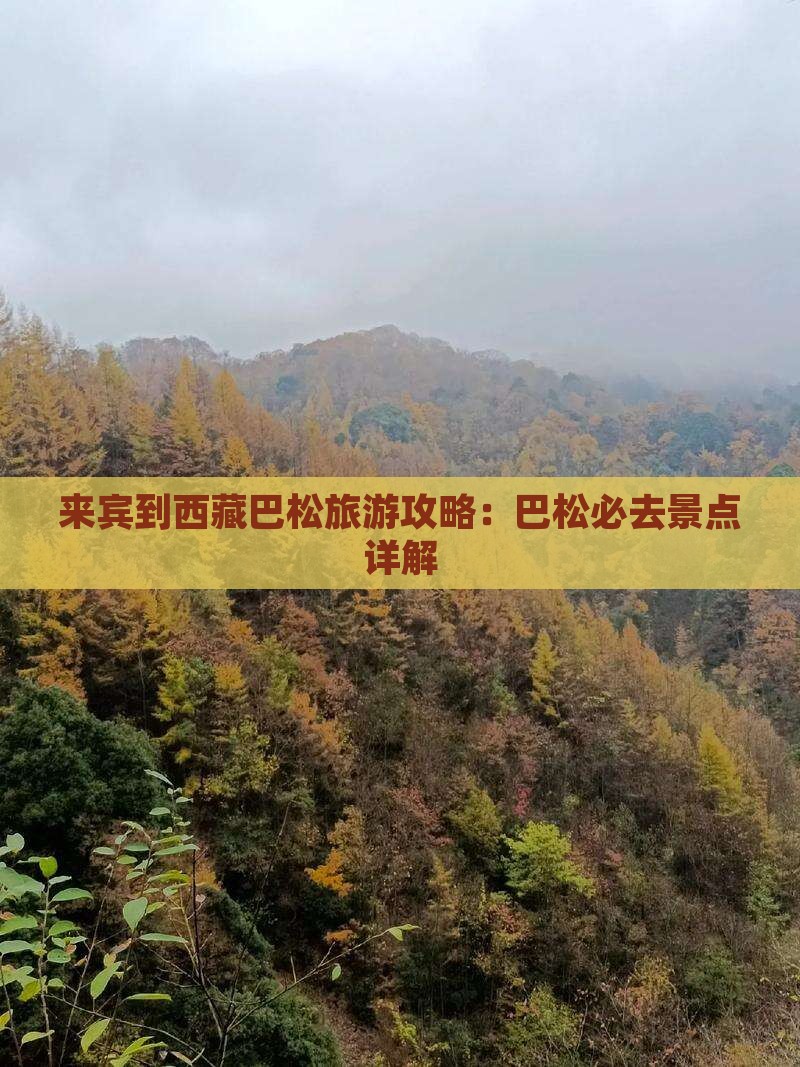 来宾到西藏巴松措哪里玩