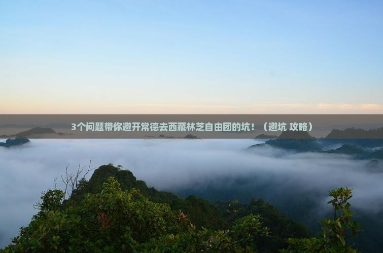常德去西藏林芝自由团