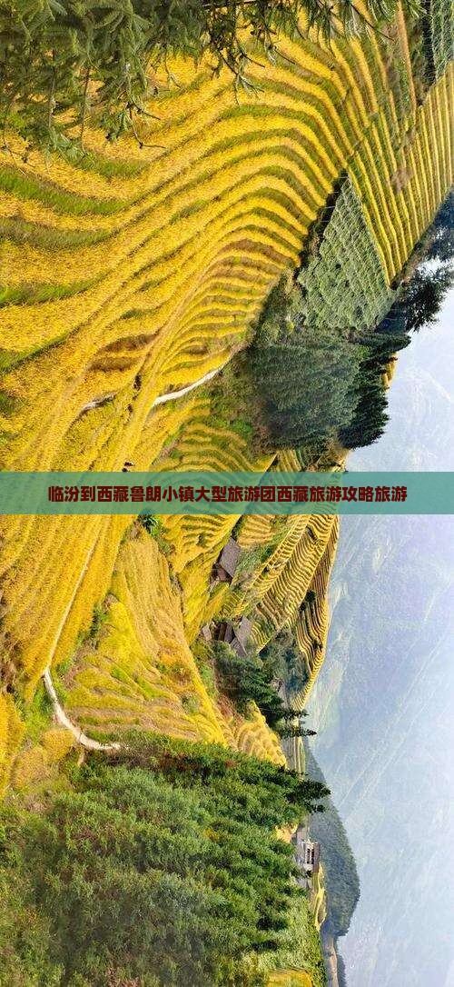 临汾到西藏鲁朗小镇大型旅游团 临汾到西藏鲁朗小镇大型旅游团