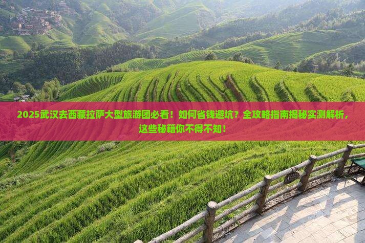 武汉去西藏拉萨大型旅游团