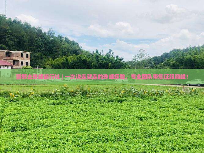 邯郸去西藏珠峰大本营旅行社