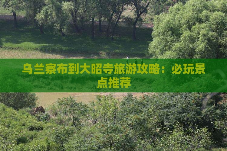 乌兰察布到西藏大昭寺哪里玩