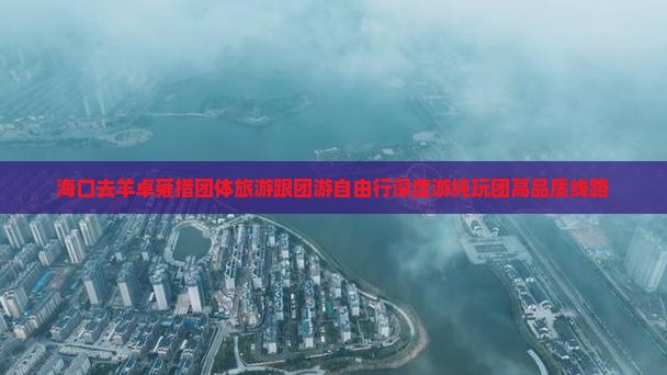 海口去西藏羊卓雍措团体旅游
