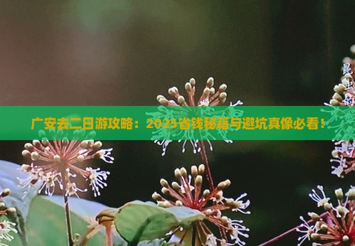 广安去西藏二日游
