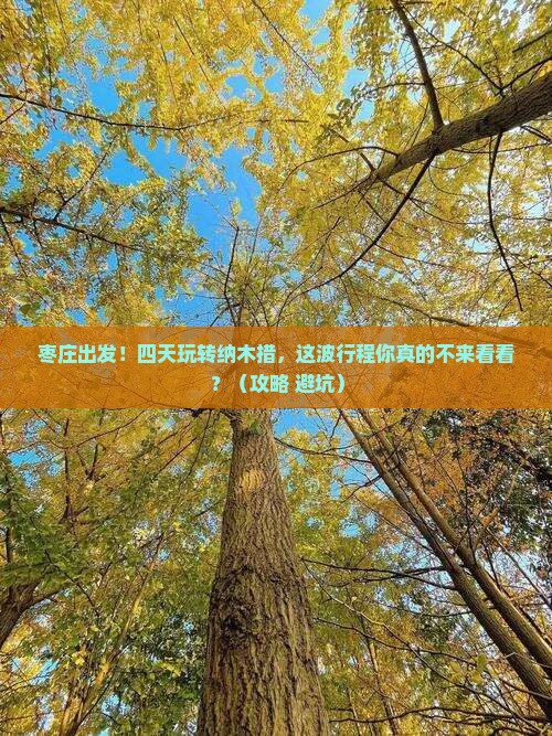枣庄去西藏纳木措四日游