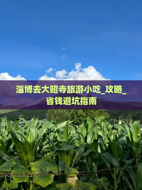 淄博去西藏大昭寺旅游小吃