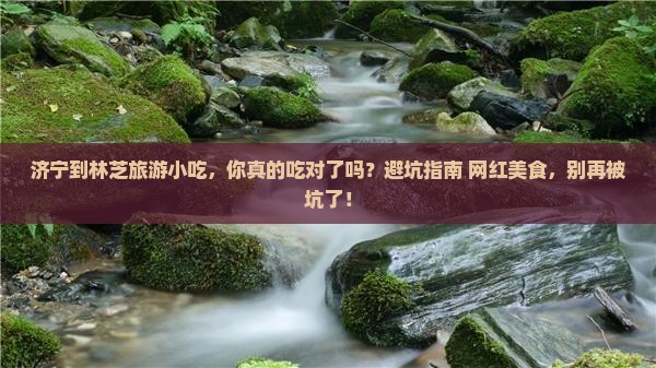 济宁到西藏林芝旅游小吃