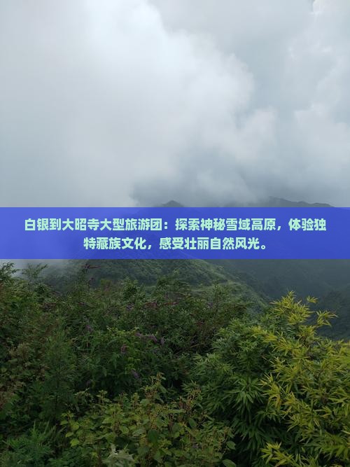 白银到西藏大昭寺大型旅游团