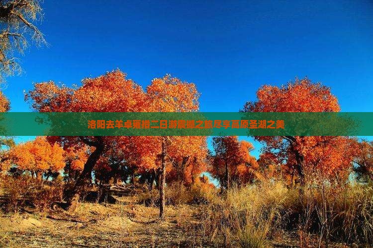 洛阳去西藏羊卓雍措二日游