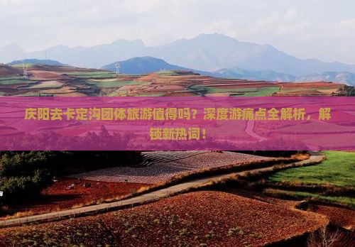 庆阳去西藏卡定沟团体旅游