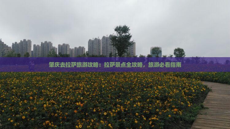 肇庆去西藏拉萨旅游