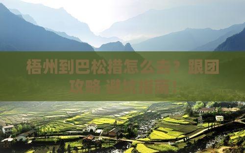 梧州到西藏巴松措旅行社