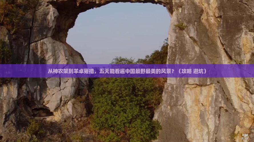 神农架去西藏羊卓雍措五日游
