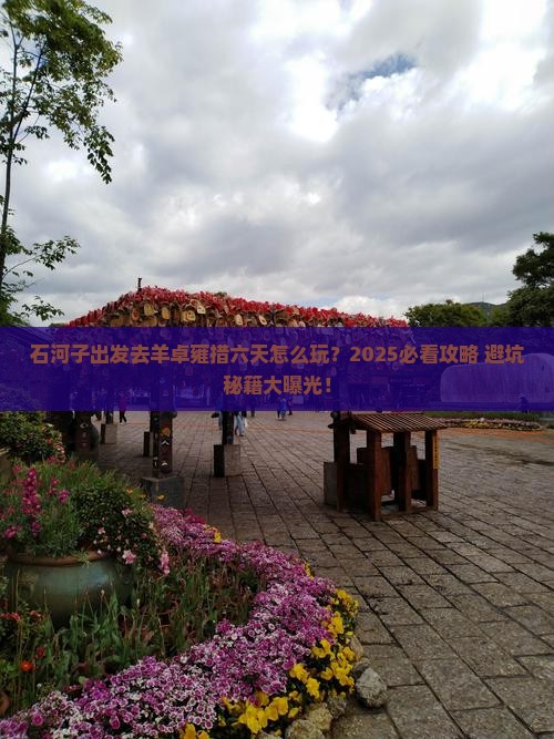 石河子去西藏羊卓雍措六日游