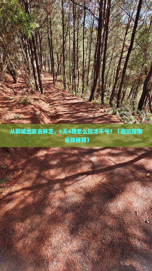 聊城去西藏林芝大型旅游团