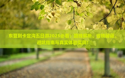 东营到西藏卡定沟五日游