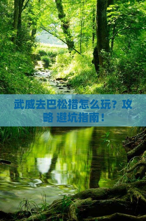 武威去西藏巴松措景点