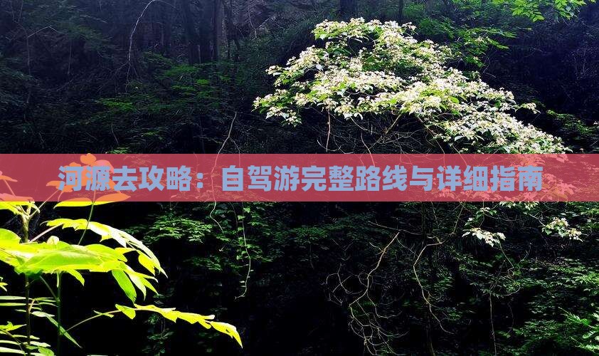 河源去攻略：自驾游完整路线与详细指南