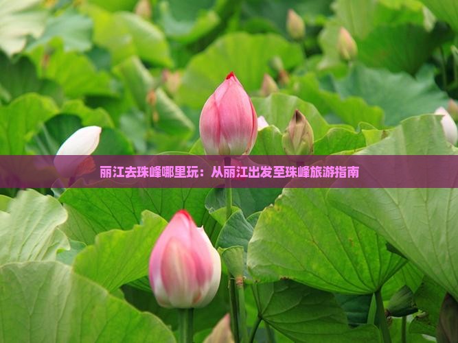 丽江去珠峰哪里玩:从丽江出发至珠峰旅游指南 丽江去珠峰哪里玩:从丽江出发至珠峰旅游指南