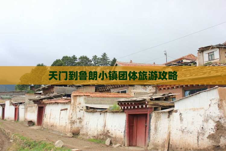 天门到鲁朗小镇团体旅游攻略