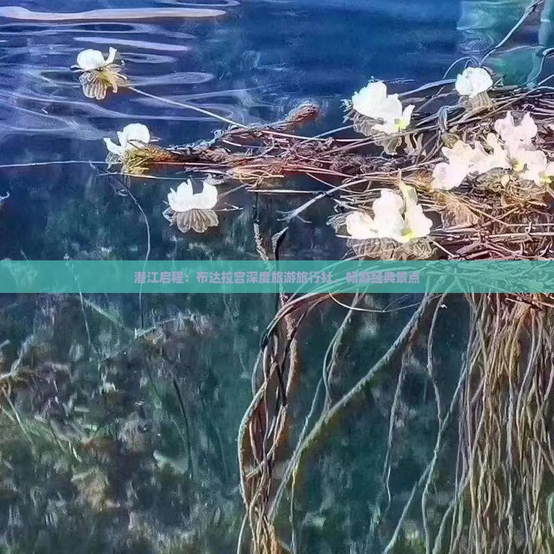 潜江启程：布达拉宫深度旅游旅行社，畅游经典景点